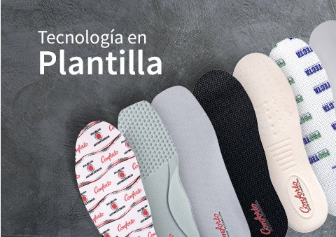 Plantilla
